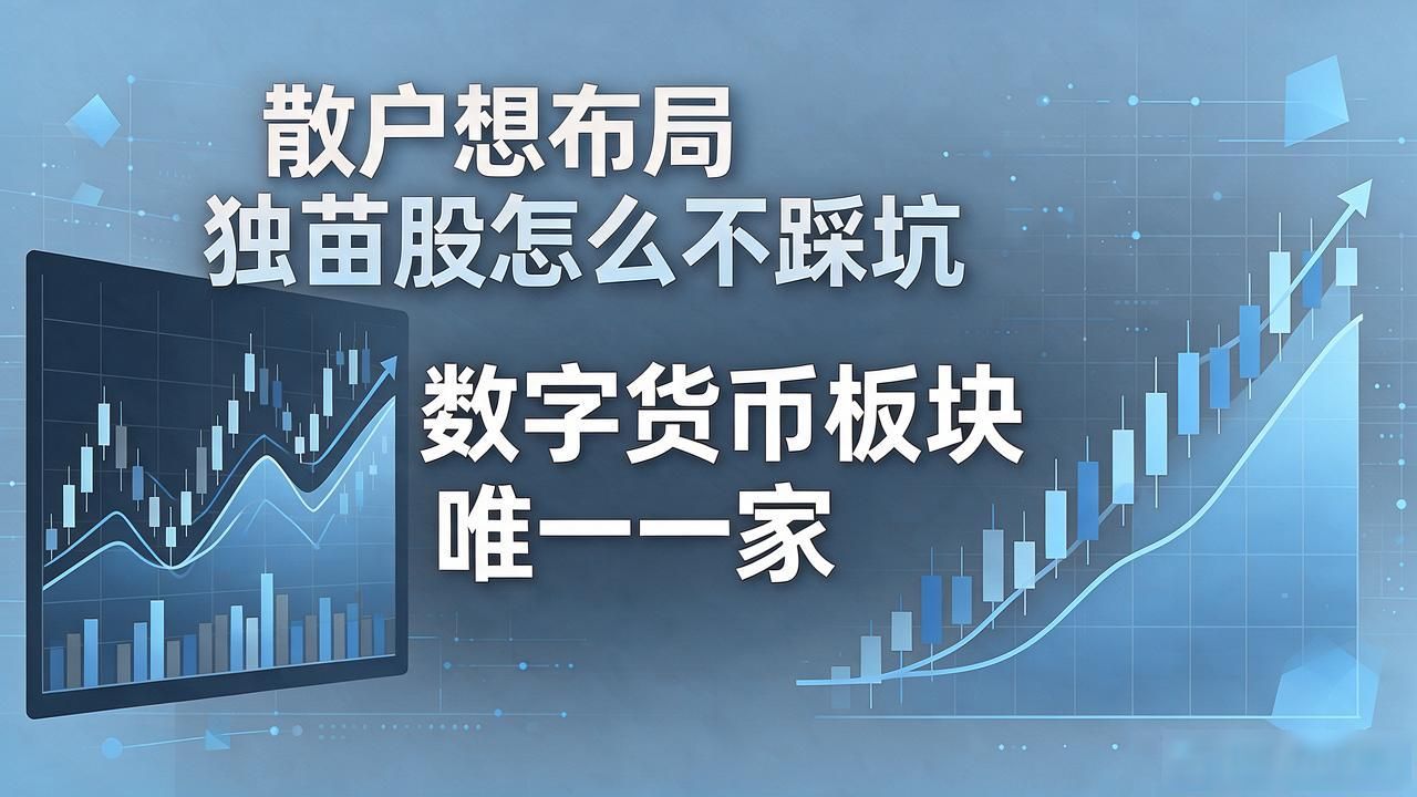 A股独苗数字货币概念股_数字货币板块唯一一家_数字人民币硬件基础设施